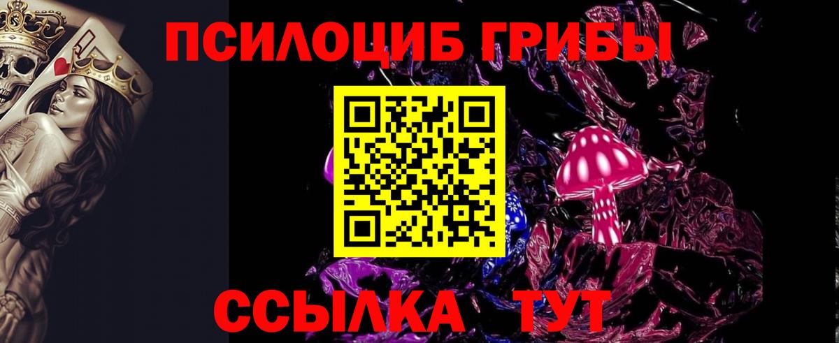 Псилоцибиновые грибы Psilocybe  что такое наркотик  Новороссийск  Вход с VPN 
